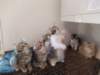 u4together256202327_small.jpg
