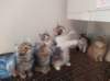 u4together256202328_small.jpg