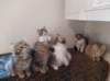 u4together256202329_small.jpg