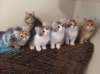 u4together25620232_small.jpg