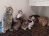 u4together256202330_small.jpg
