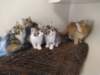 u4together256202331_small.jpg