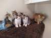 u4together256202332_small.jpg
