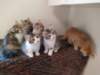 u4together256202333_small.jpg