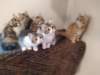 u4together256202334_small.jpg