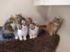 u4together256202335_small.jpg