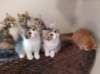 u4together256202336_small.jpg