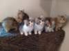 u4together25620233_small.jpg