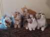 u4together25620234_small.jpg
