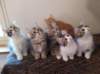 u4together25620235_small.jpg