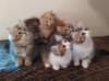 u4together25620236_small.jpg