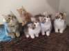 u4together25620237_small.jpg