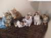 u4together25620238_small.jpg