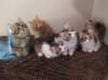 u4together25620239_small.jpg
