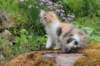 udiya11weeks226202319_small.jpg