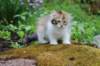 udiya11weeks226202325_small.jpg