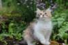 udiya11weeks226202330_small.jpg
