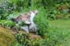 udiya11weeks226202345_small.jpg