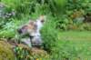 udiya11weeks226202347_small.jpg