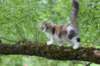 udiya12weeks17202315_small.jpg