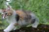 udiya12weeks17202318_small.jpg