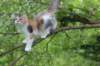 udiya12weeks1720231_small.jpg