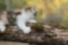 udiya5viikkoa135202352_small.jpg