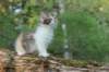 udiya7viikkoa25520235_small.jpg