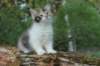 udiya7viikkoa25520239_small.jpg