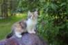 udiya95viikkoa12620231_small.jpg