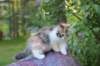 udiya95viikkoa126202325_small.jpg
