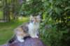 udiya95viikkoa12620232_small.jpg