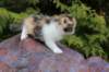 udiyaf032414_small.jpg