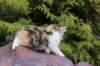 udiyaf032415_small.jpg