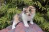 udiyaf032417_small.jpg
