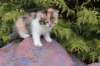 udiyaf032424_small.jpg