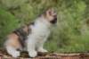 udiyagirl65weeks215202318_small.jpg