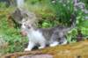 unega11weeks226202314_small.jpg