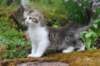 unega11weeks226202317_small.jpg