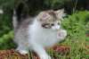 unega11weeks22620231_small.jpg