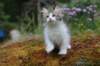 unega11weeks226202348_small.jpg
