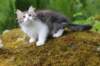 unega11weeks22620234_small.jpg