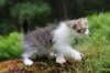 unega11weeks226202357_small.jpg