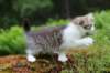 unega11weeks226202359_small.jpg