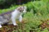 unega11weeks226202367_small.jpg