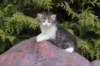 unegagirln092410_small.jpg