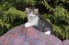unegagirln092411_small.jpg