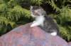 unegagirln092412_small.jpg