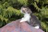 unegagirln092413_small.jpg