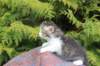 unegagirln092414_small.jpg